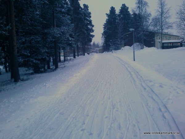 Luleå Vinter